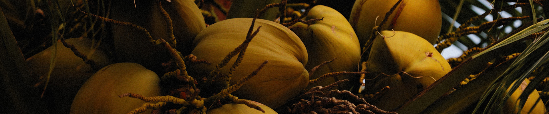 3308ά��������·�������(�й�)���޹�˾