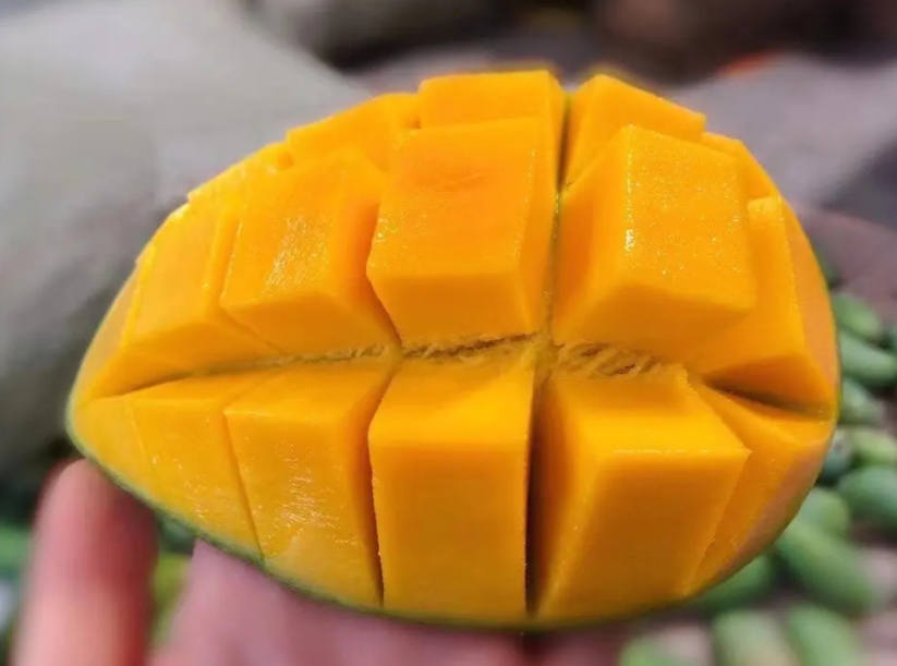 20231116143342 20231116143342