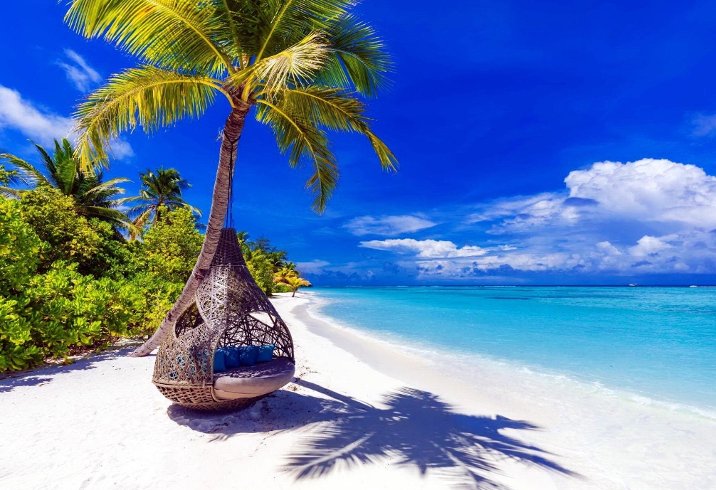 20240109164056 20240109164056