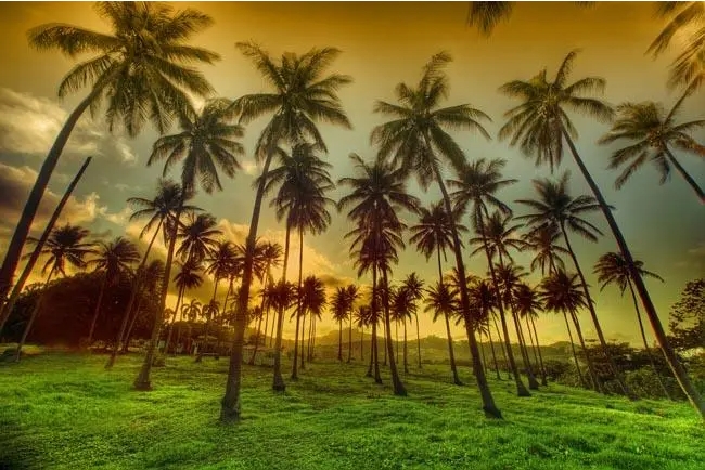 20240119162948 20240119162948