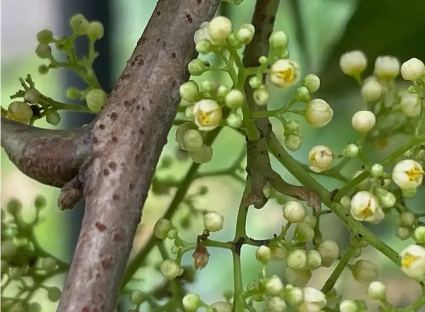 20240620162759 20240620162759