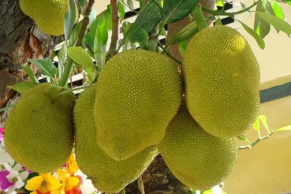 20240621154311 20240621154311