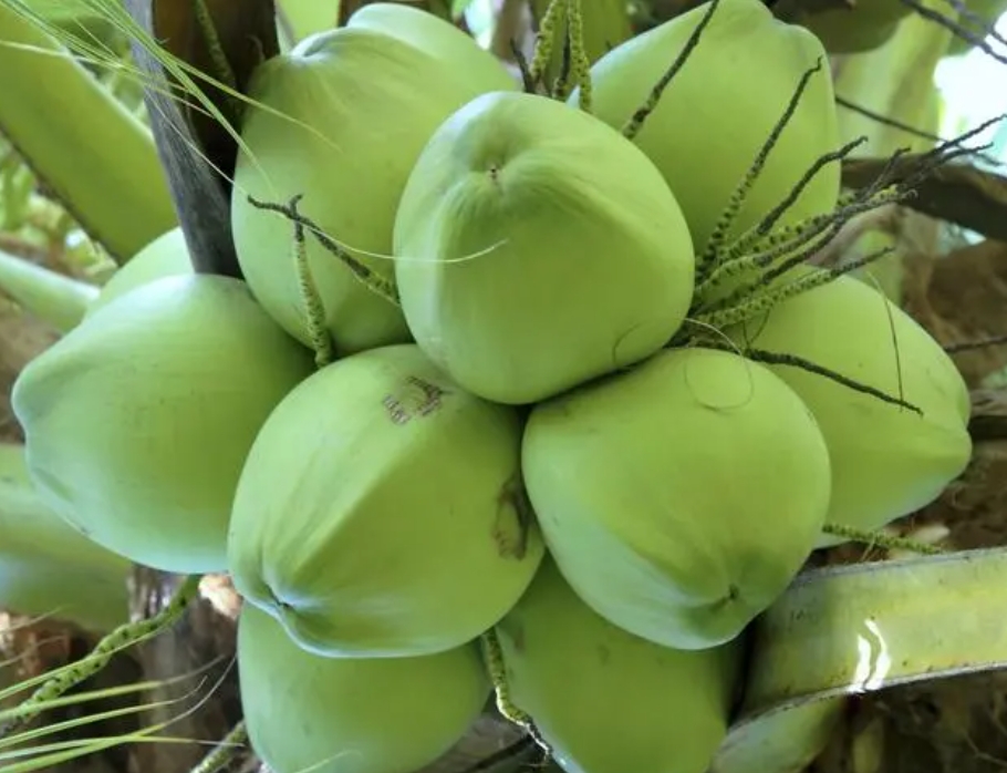 20240726100542 20240726100542