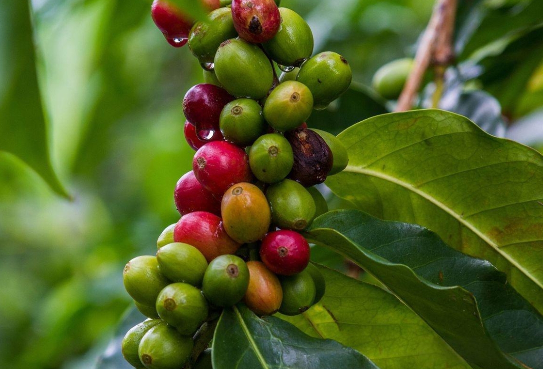 20250407162057 20250407162057