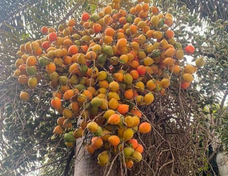 20250526151640 20250526151640