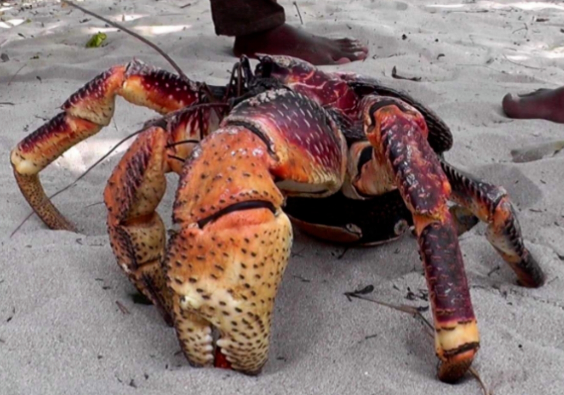 20250707160715 20250707160715