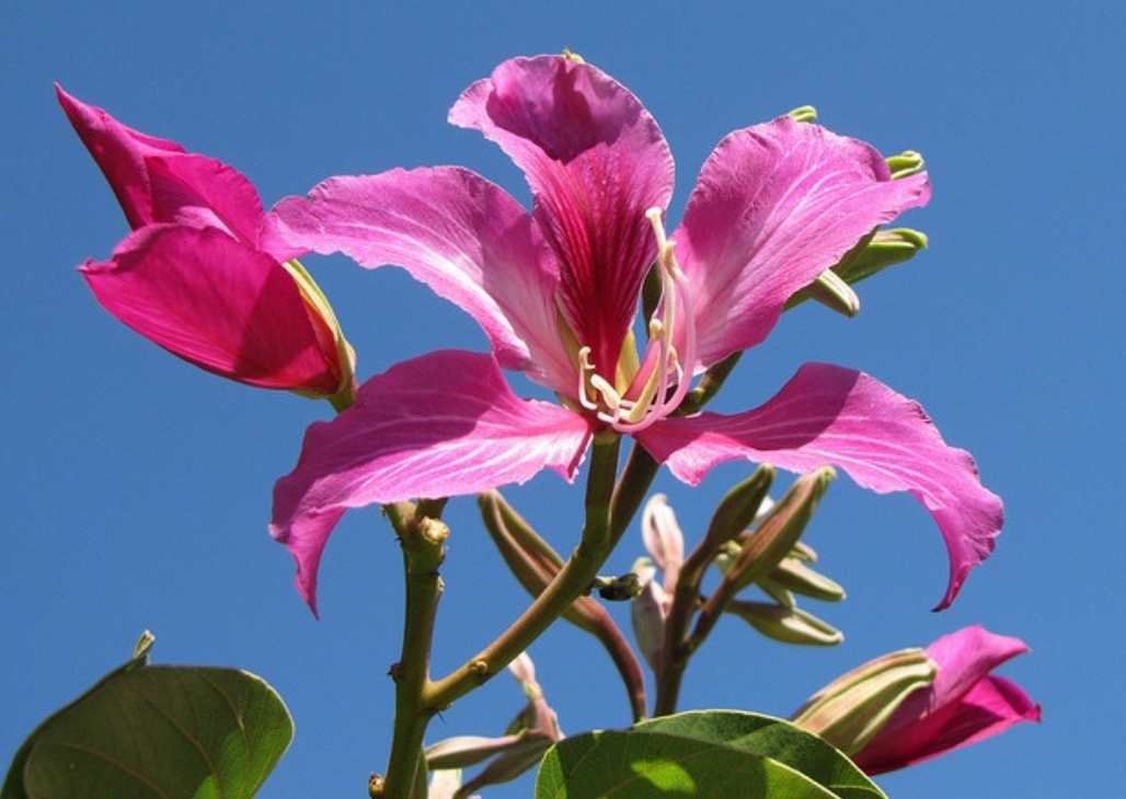 20250709161049 20250709161049