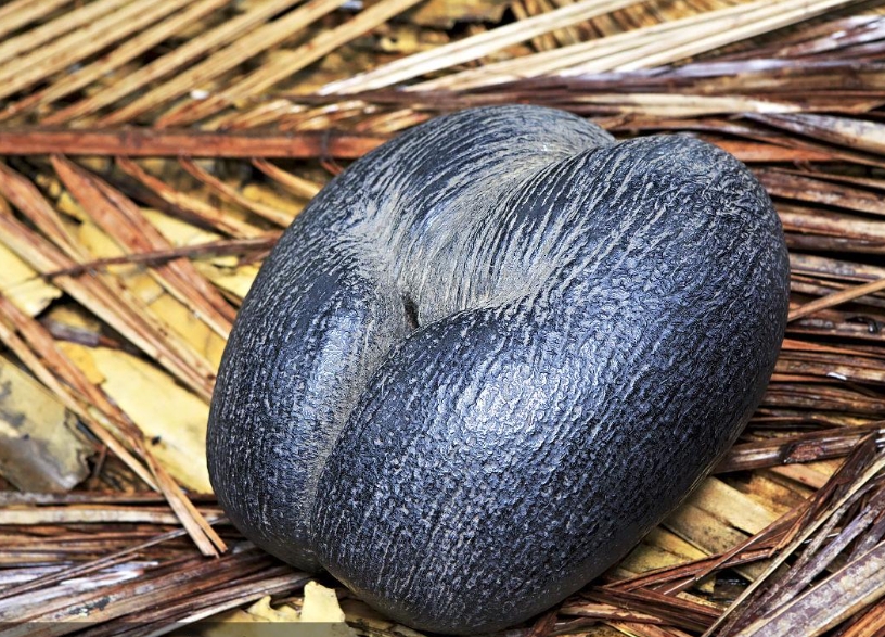 20250714162240 20250714162240