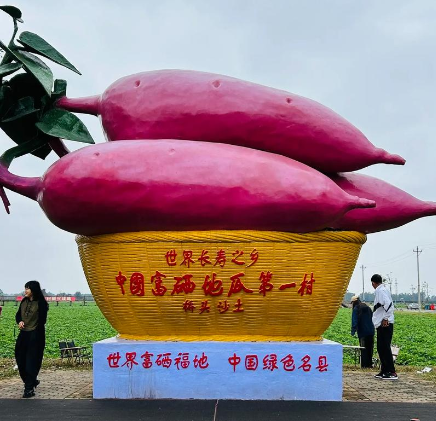 20250722155433 20250722155433