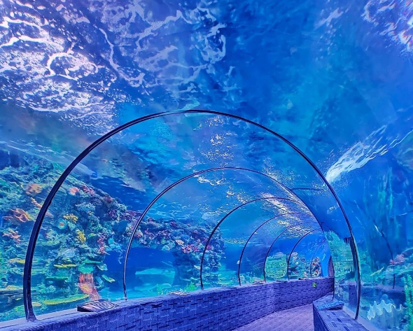 20250728171432 20250728171432