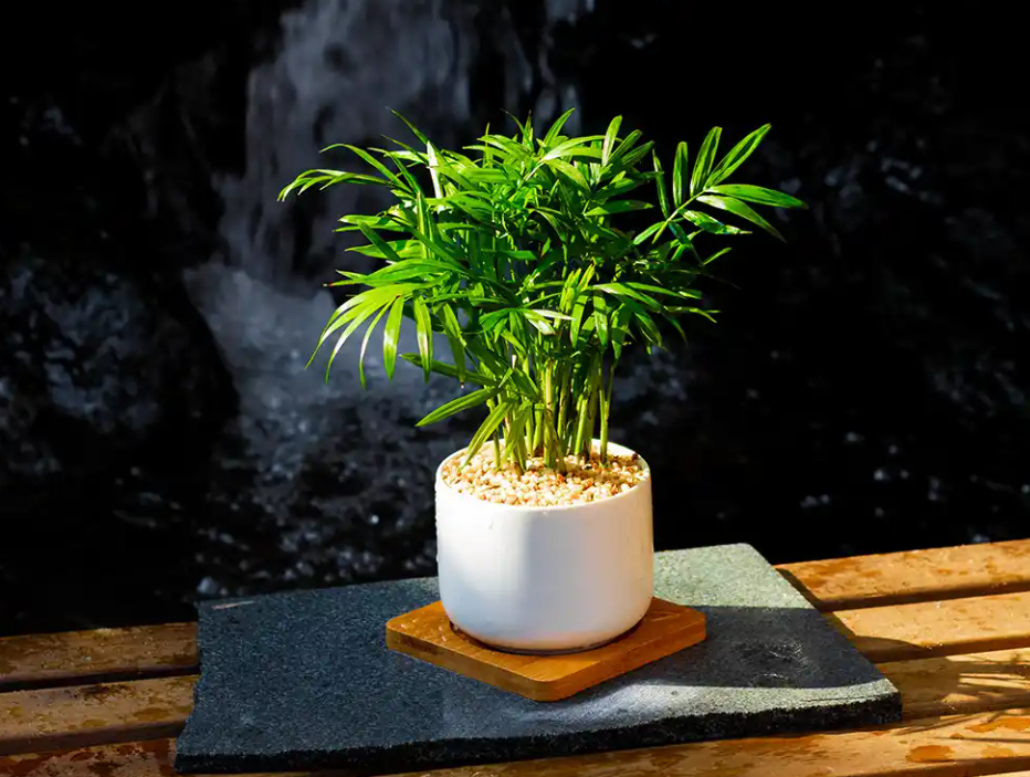 20250805155405 20250805155405