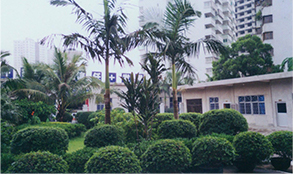 16945862590 16945862590