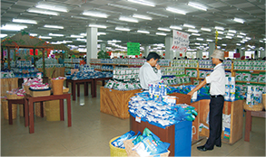 16945863070 16945863070