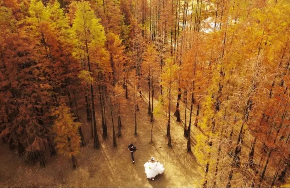 1706685545616873.png ΢ÐŽØÍ¼_20240129151029.png