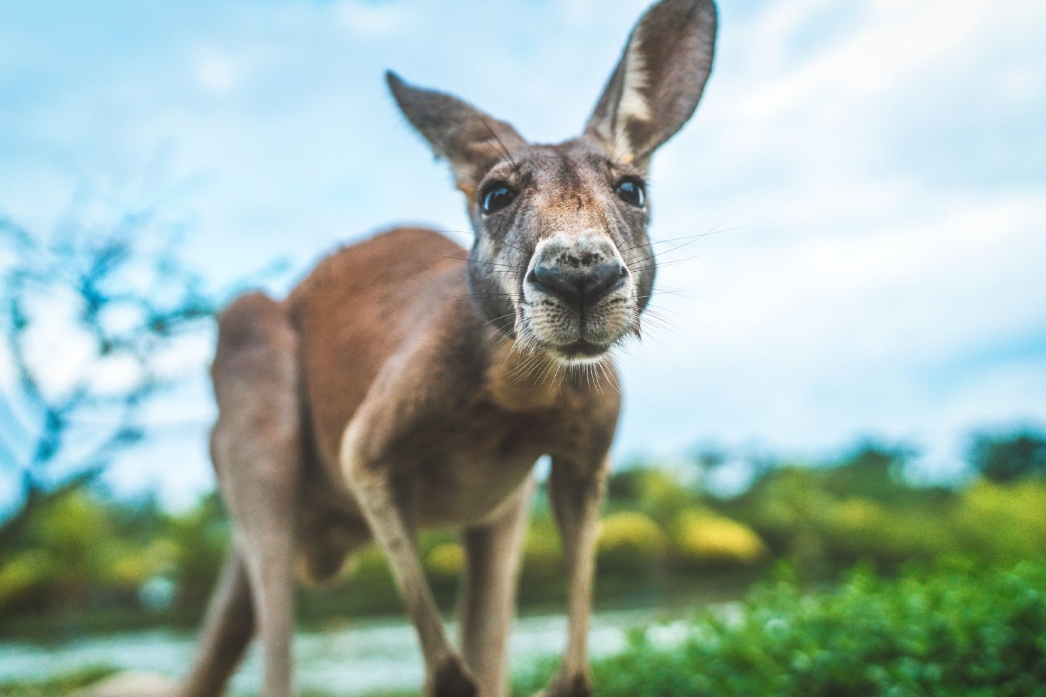 1708843528132347.png ΢ÐŽØÍ¼_20240119154541.png