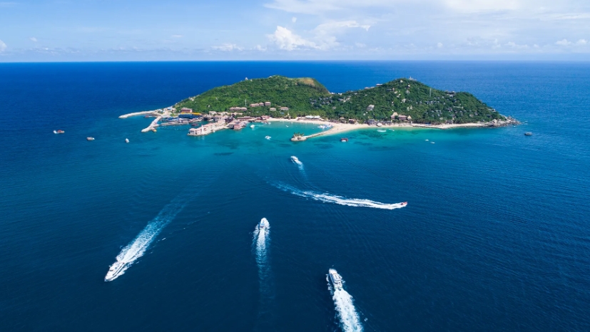 1710405346570727.png ΢ÐŽØÍ¼_20240301150219.png