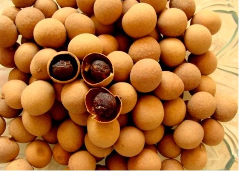 1719389822788461.png ΢ÐŽØÍ¼_20240624171507.png