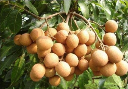 1719389833314400.png ΢ÐŽØÍ¼_20240624171629.png