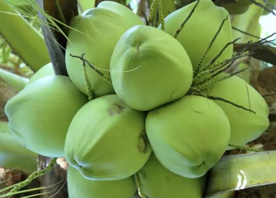 1721116633115742.png ΢ÐŽØÍ¼_20240712170749.png