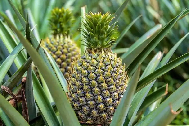 1731055547466558.png ΢ÐŽØÍ¼_20241108150106.png