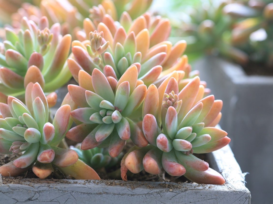 1735201373612815.png ΢ÐŽØÍ¼_20241223145622.png