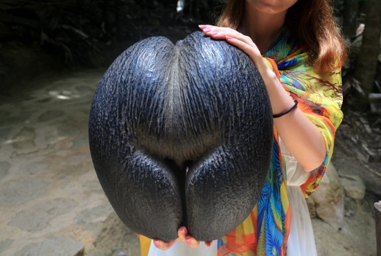 1736409413754064.png ΢ÐŽØÍ¼_20250106113600.png