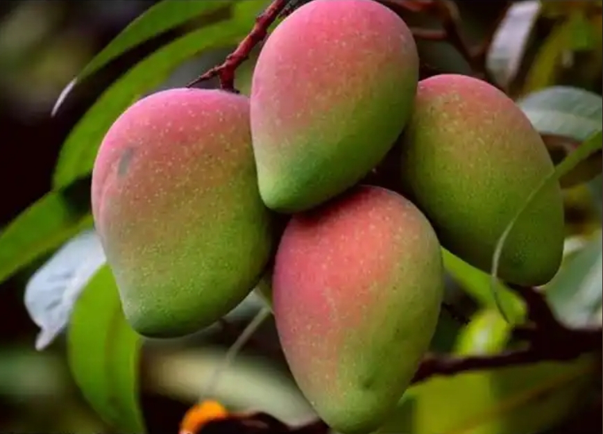 1738999642316550.png ΢ÐŽØÍ¼_20250207111935.png