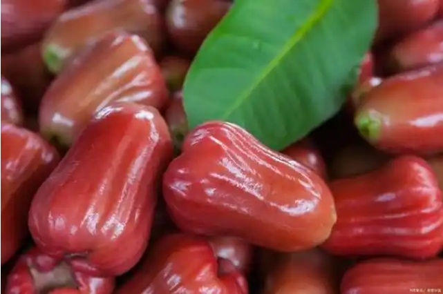 1739432169550078.png ΢ÐŽØÍ¼_20250212143254.png