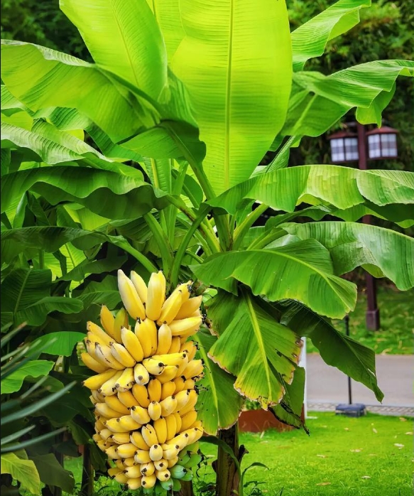 1739605569821634.png ΢ÐŽØÍ¼_20250214120220.png