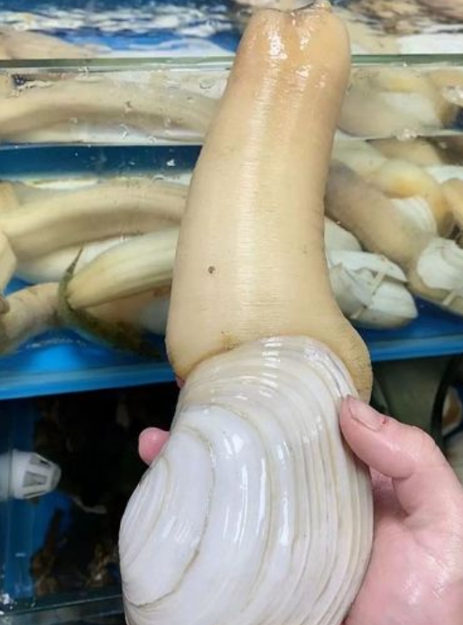 1745569412593428.png ΢ÐŽØÍ¼_20250425143516.png