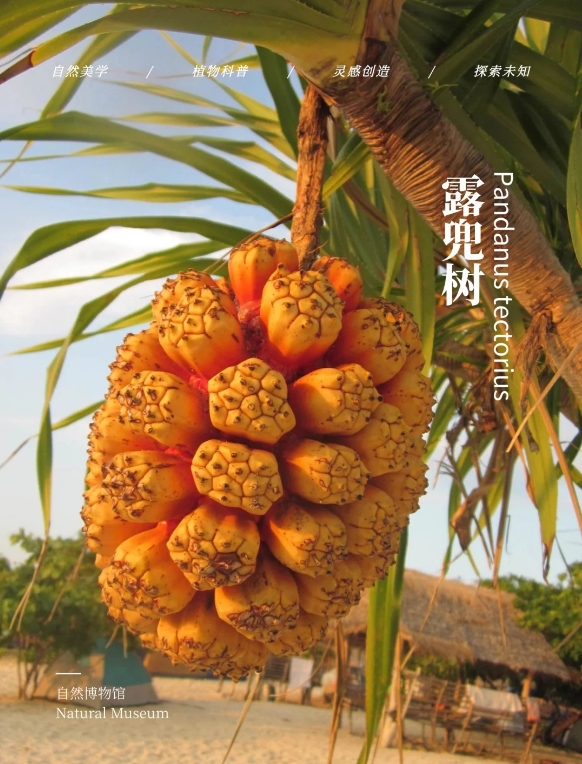 1748243399379729.png 微信截图_20250526143717.png
