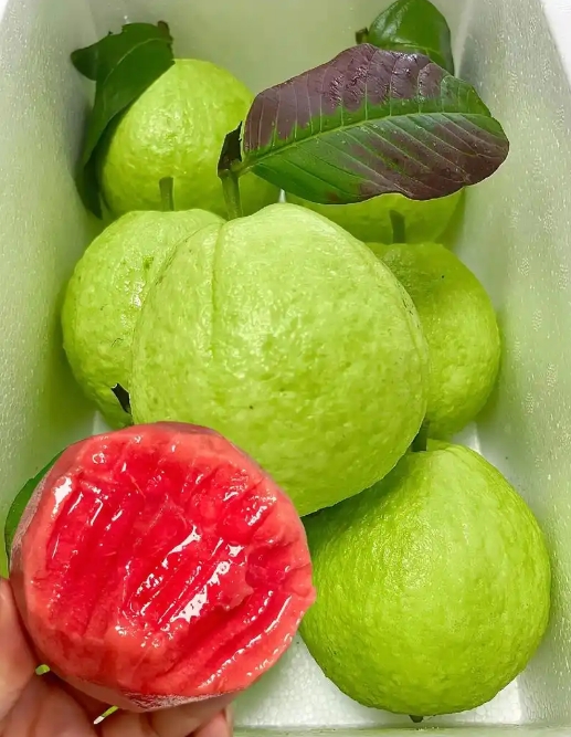 1749804184296013.png ΢ÐŽØÍ¼_20250613155509.png