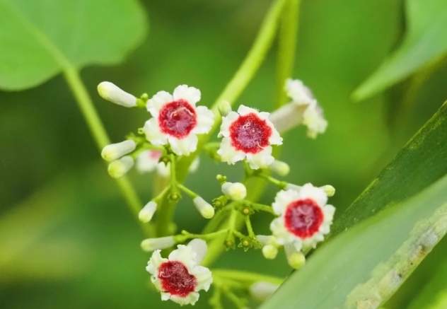 1750409621591772.png 微信截图_20250620161052.png