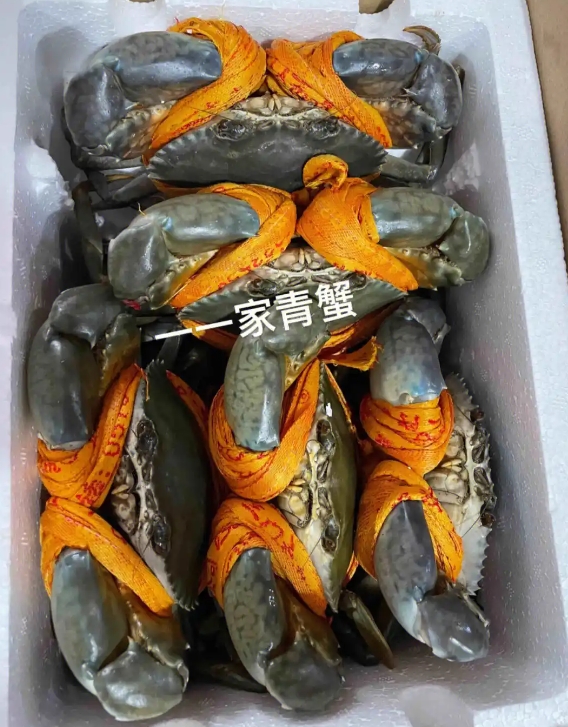 1752223614697045.png ΢ÐŽØÍ¼_20250711153124.png