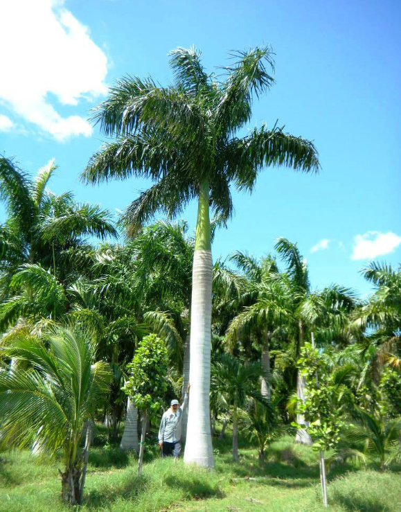 1753950983917488.png wechat_2025-07-30_153327_610.png