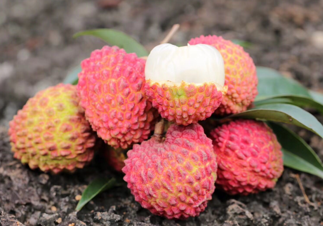 1760950207943593.png wechat_2025-10-17_162324_616.png