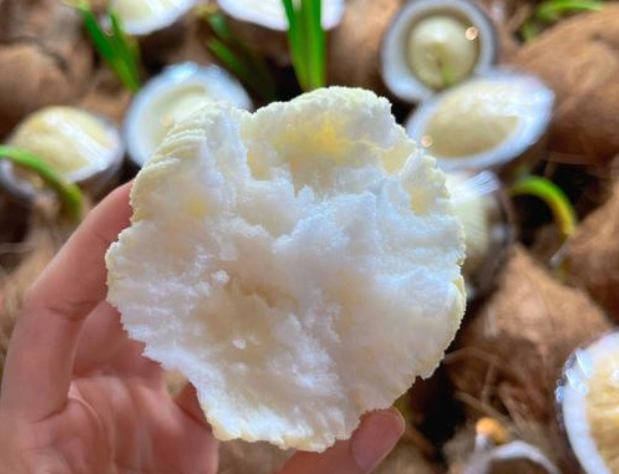 1765439186858011.png ScreenShot_2025-12-10_160007_032.png