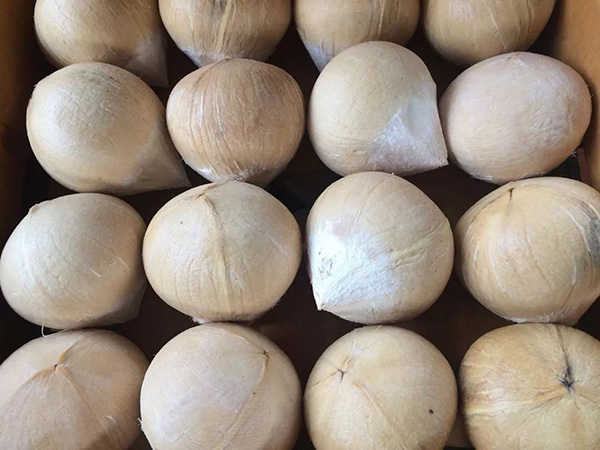 3308维多利亚线路检测中心(中国)有限公司