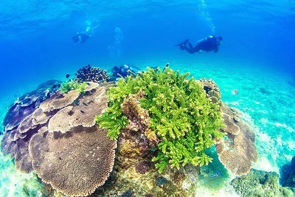 3308ά��������·�������(�й�)���޹�˾