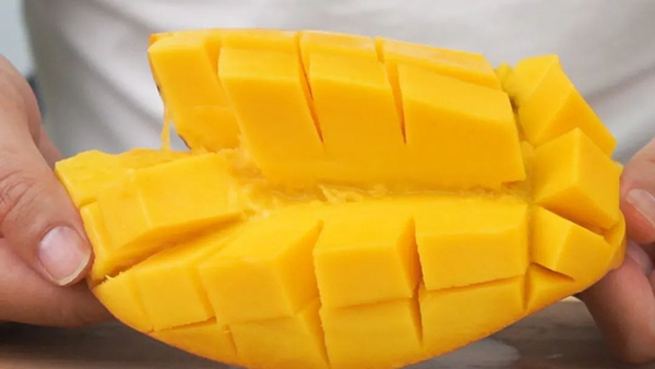 3308ά��������·�������(�й�)���޹�˾