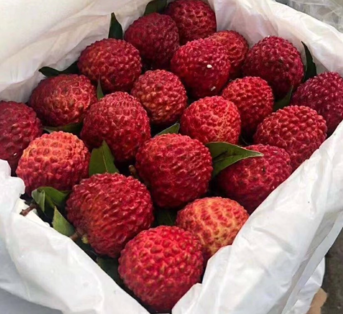 3308维多利亚线路检测中心(中国)有限公司